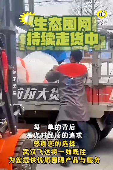 朋友们，特大好消息